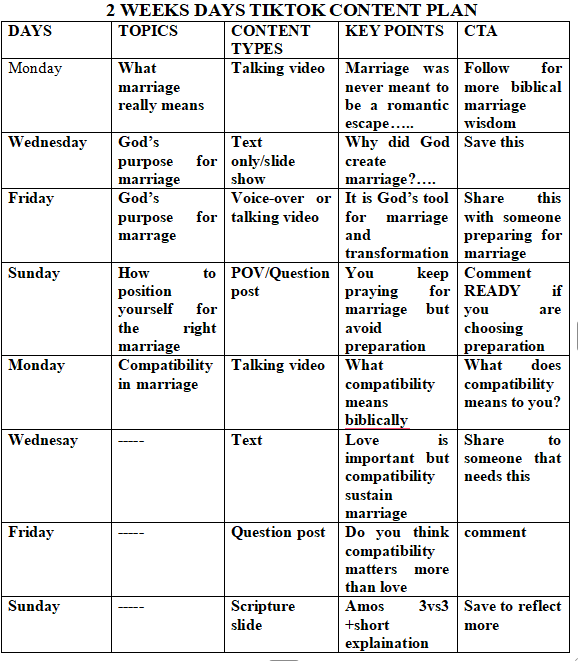 TikTok Content Strategy Table